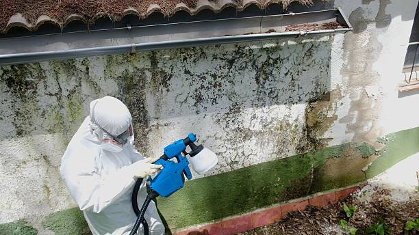 Top rated local Mold Remediation specialists in Shiloh, PA